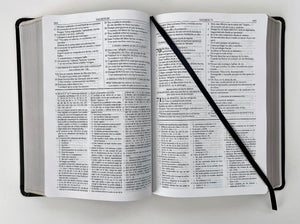 Biblia de Estudio Dake, Piel Marrón