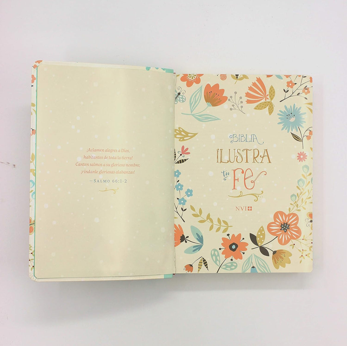 Ilustra tu Fe: Una forma diferente de leer, meditar y memorizar las escrituras