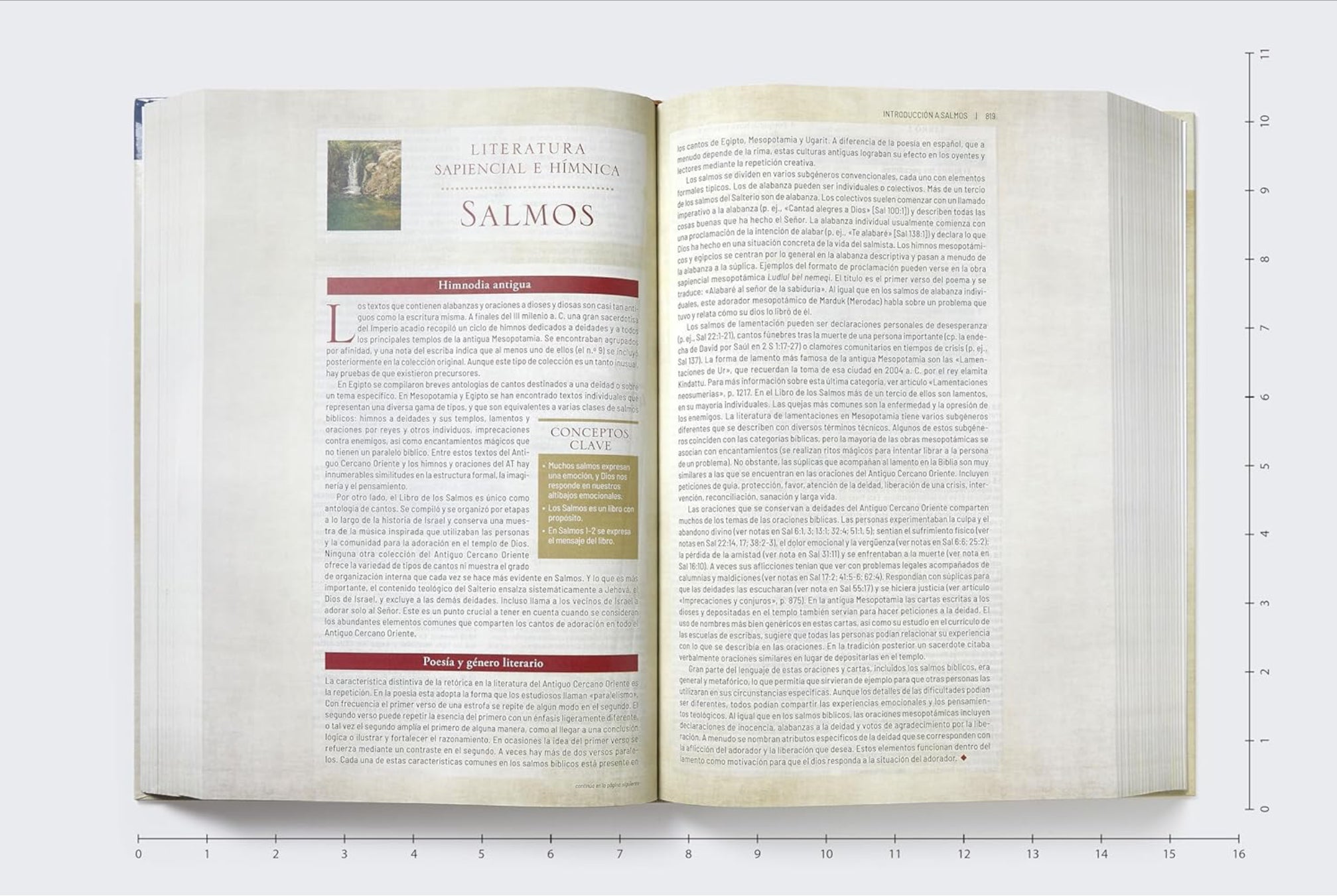 Biblia de Estudio Trasfondo Cultural: Explora el mundo Antiguo de la Escritura