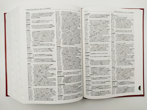 Biblia de estudio Diario Vivir RVR60, Letra Grande, (SentiPiel, Café, Café Claro, Indice)
