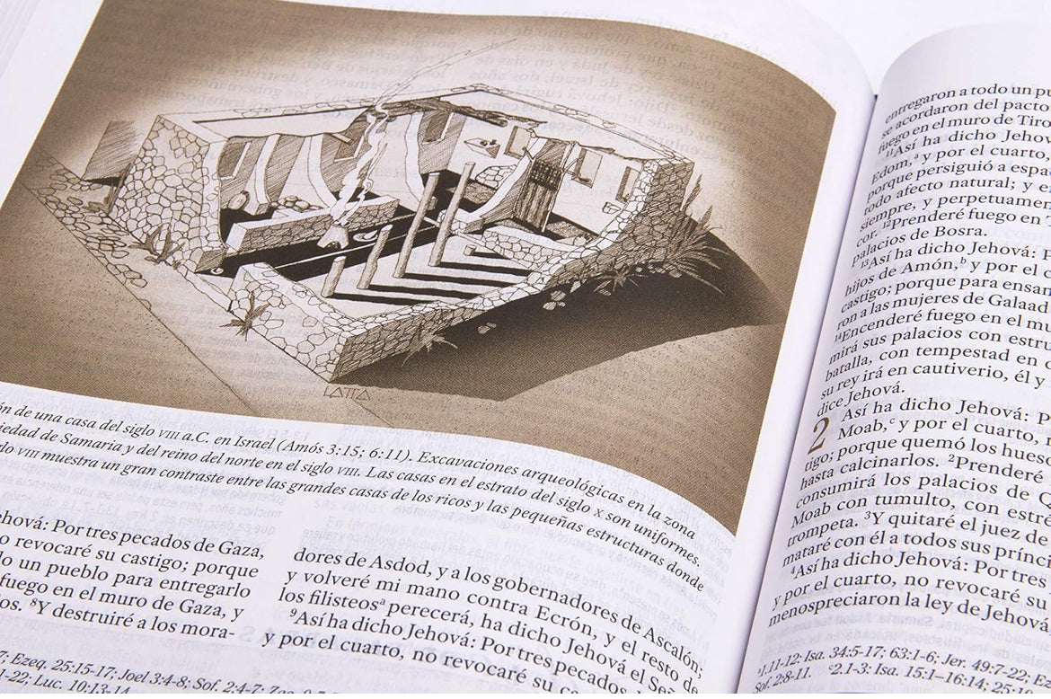 Biblia de Estudio para Mujeres RVR 60/tinto-fucsia, símil piel