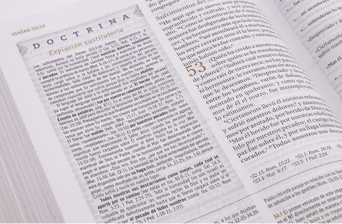 Biblia de Estudio para Mujeres RVR 60/tinto-fucsia, símil piel