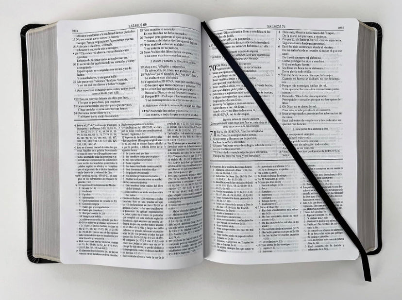 Biblia de Estudio, Dake Tamaño Grande, Piel Duotono, Marrón