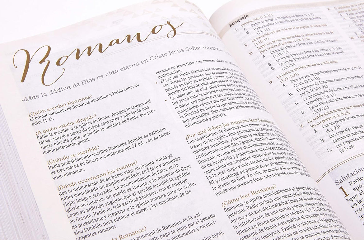 Biblia de Estudio para Mujeres RVR 60/tinto-fucsia, símil piel