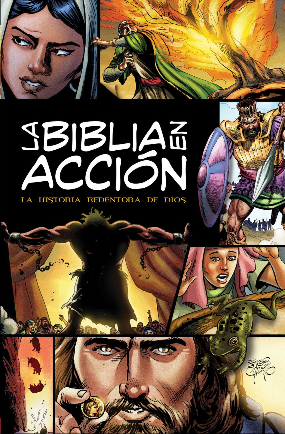 Biblia en Acción