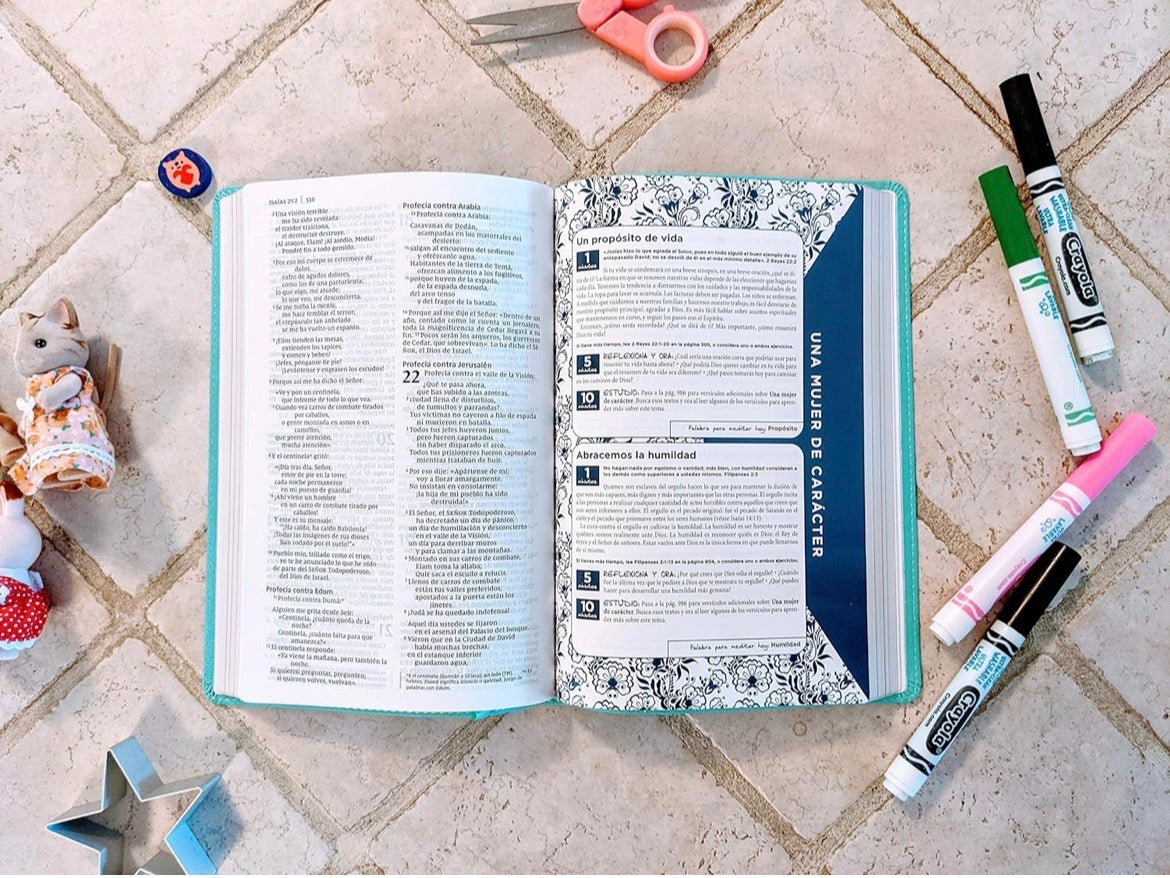 Biblia de la mamá ocupada: Inspiración diaria aún cuando sólo tienes un minuto