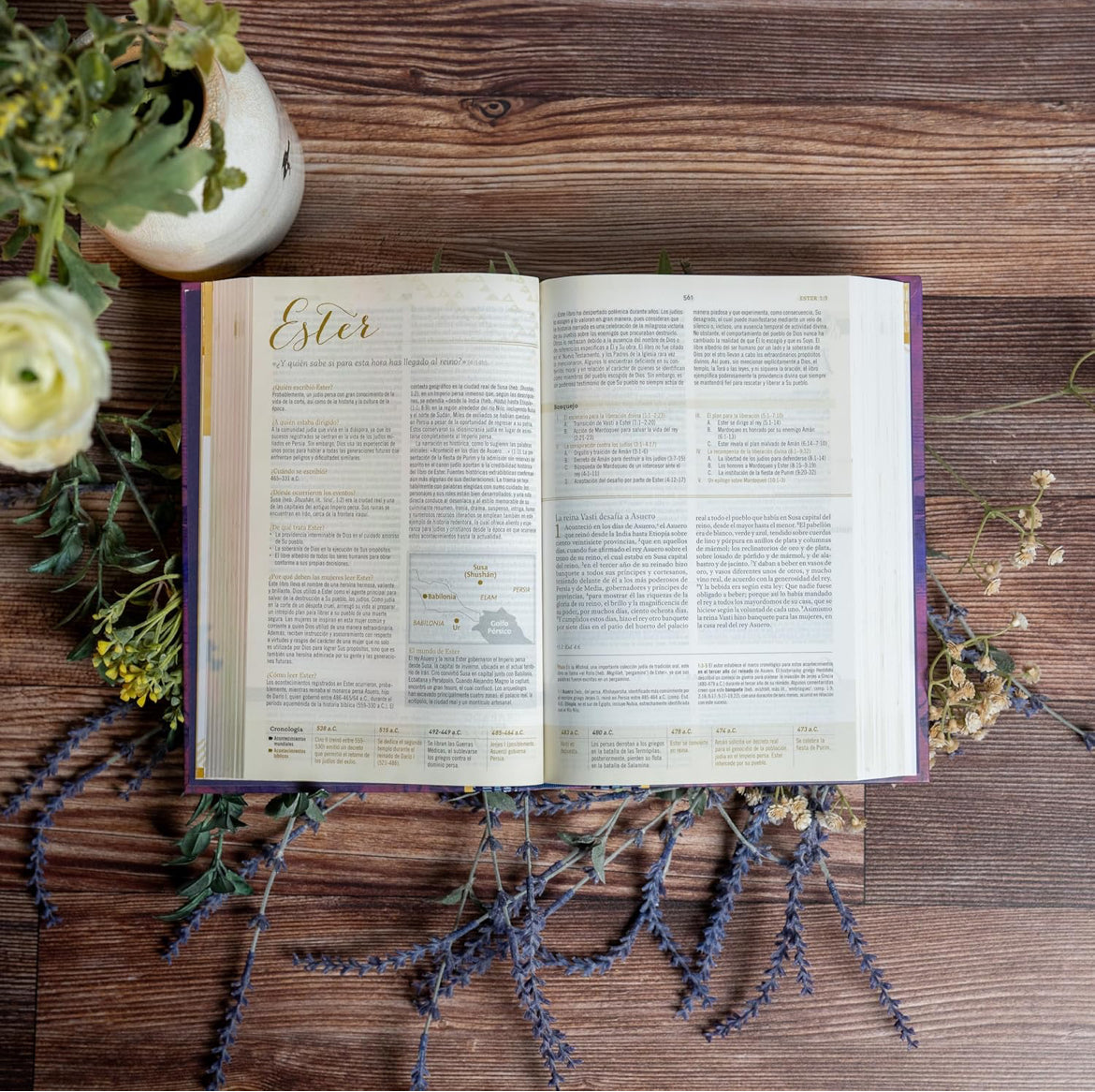 Biblia de Estudio para Mujeres RVR 1960