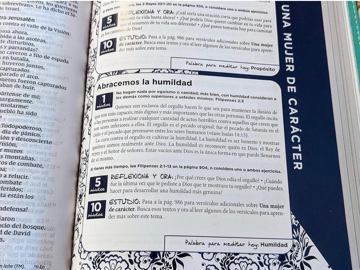 Biblia de la mamá ocupada: Inspiración diaria aún cuando sólo tienes un minuto