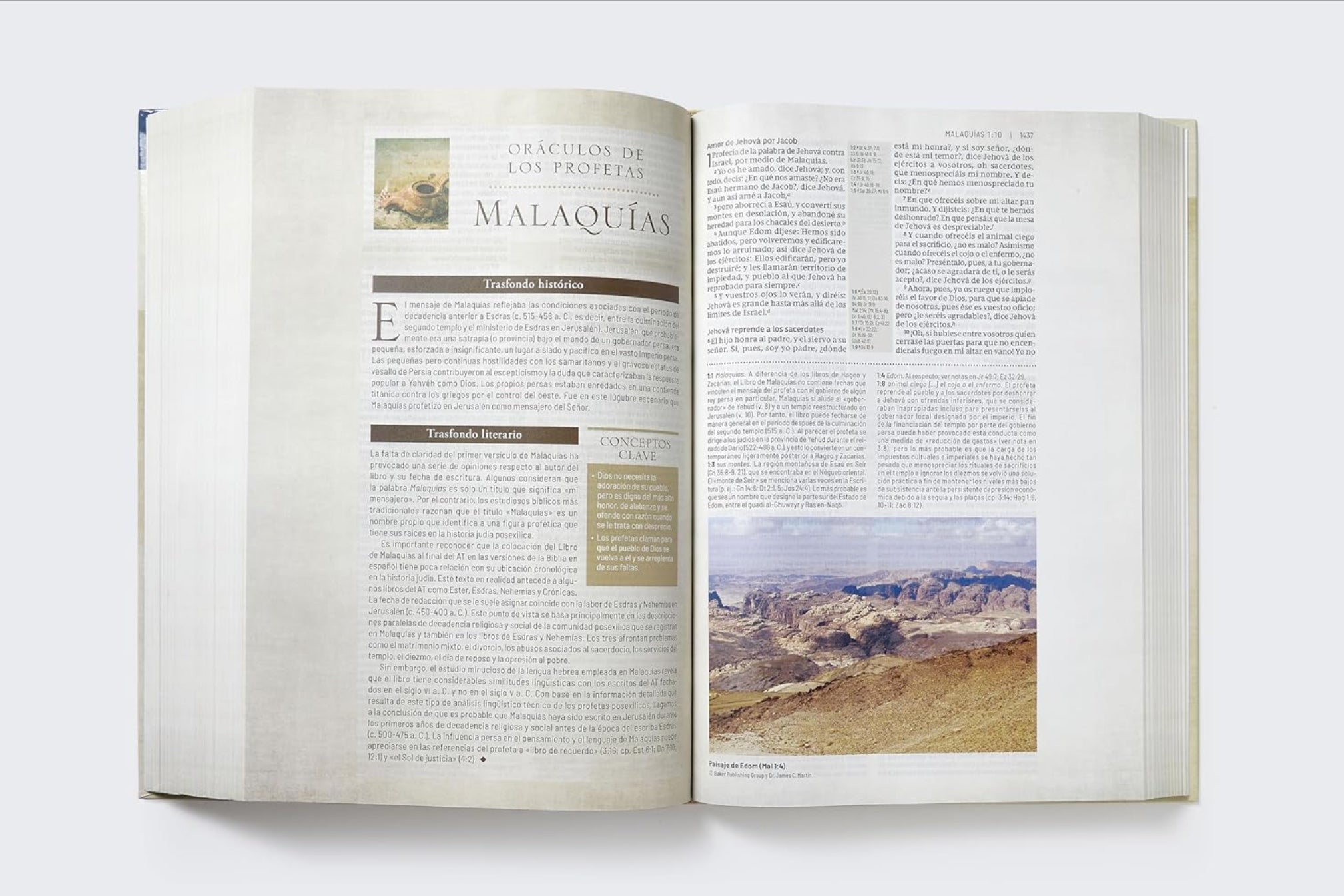 Biblia de Estudio Trasfondo Cultural: Explora el mundo Antiguo de la Escritura