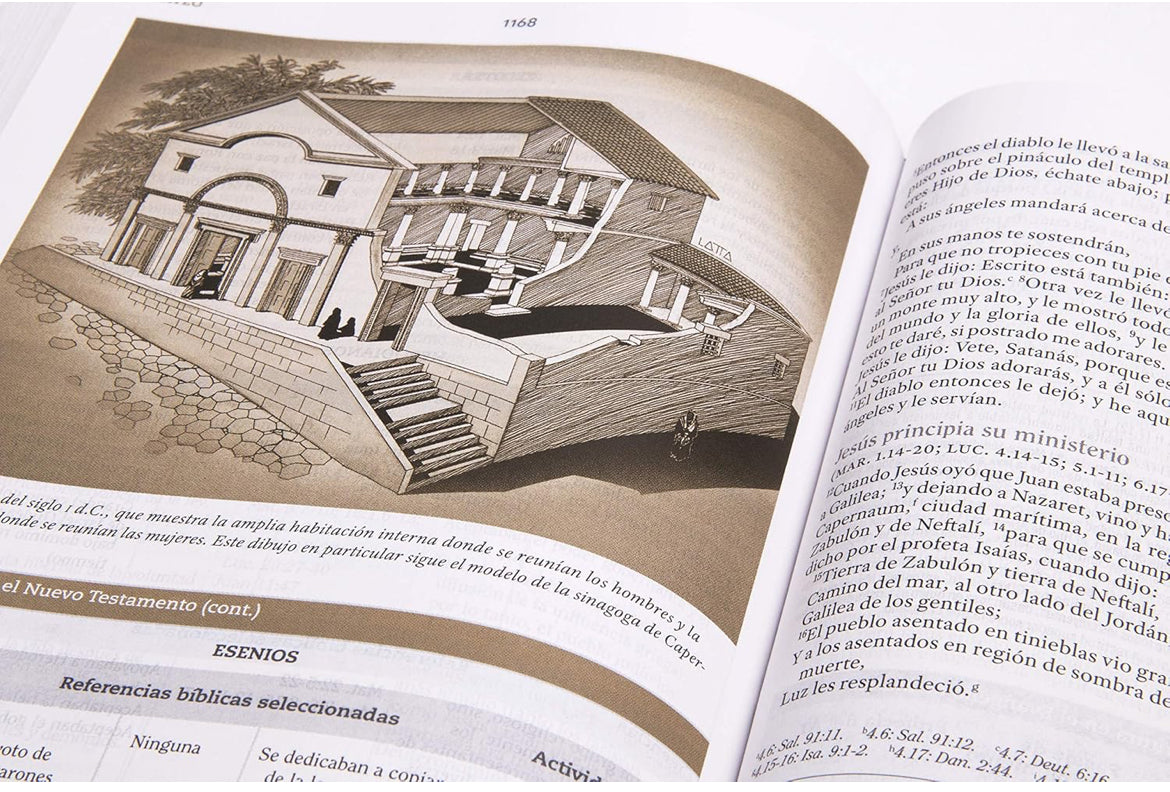 Biblia de Estudio para Mujeres RVR 1960