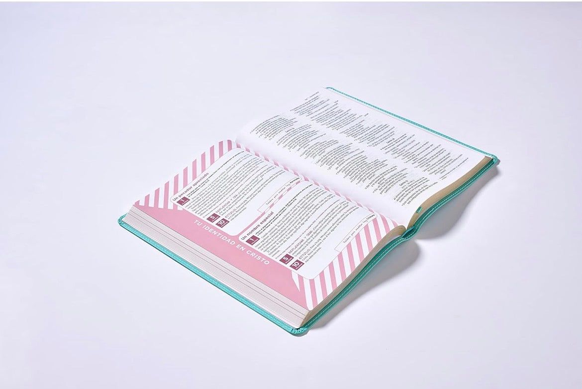 Biblia de la mamá ocupada: Inspiración diaria aún cuando sólo tienes un minuto