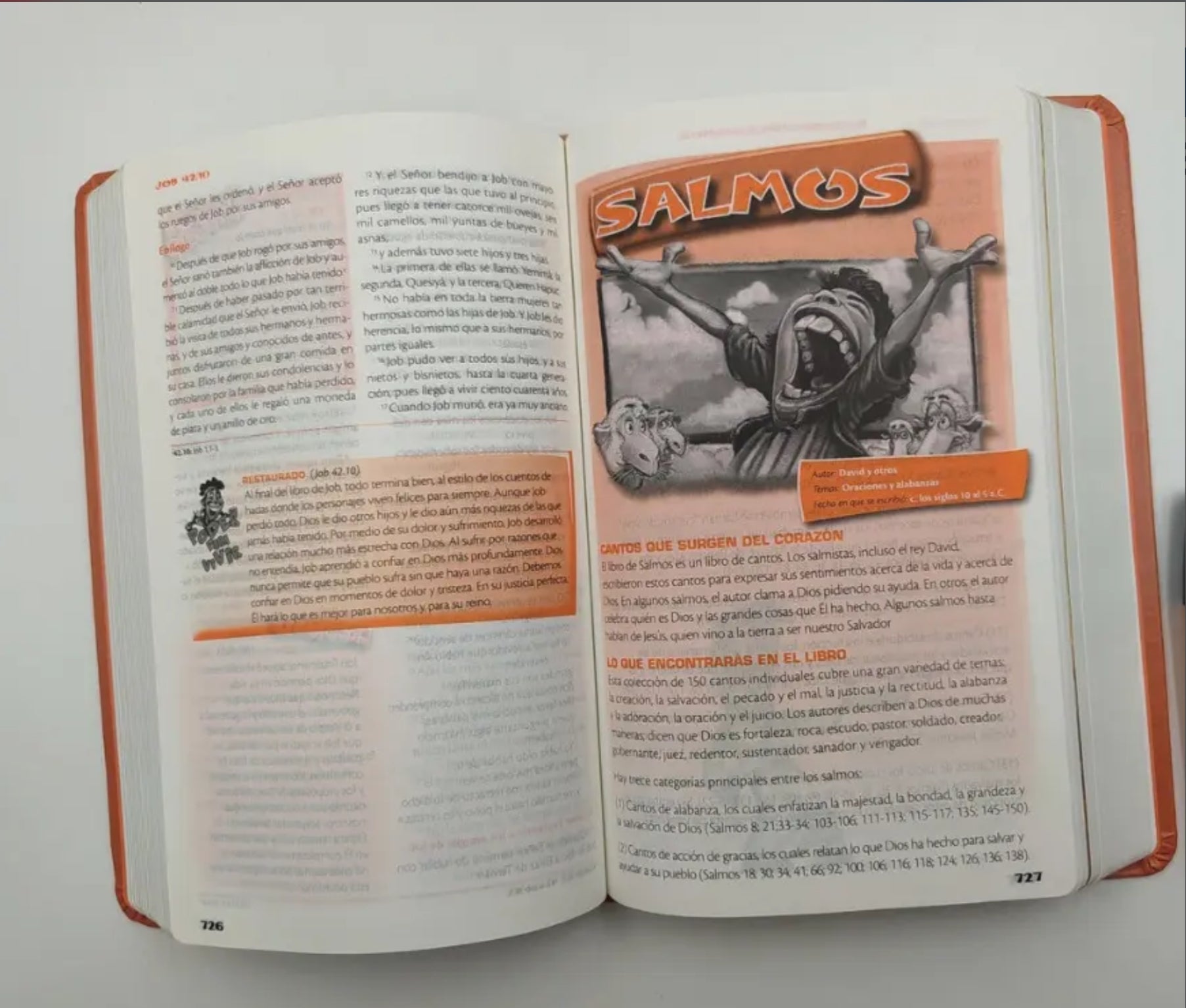 Biblia de Poder para Niños RVC, Enc. Dura (RVC Fire Bible for Kids, Hardcover)