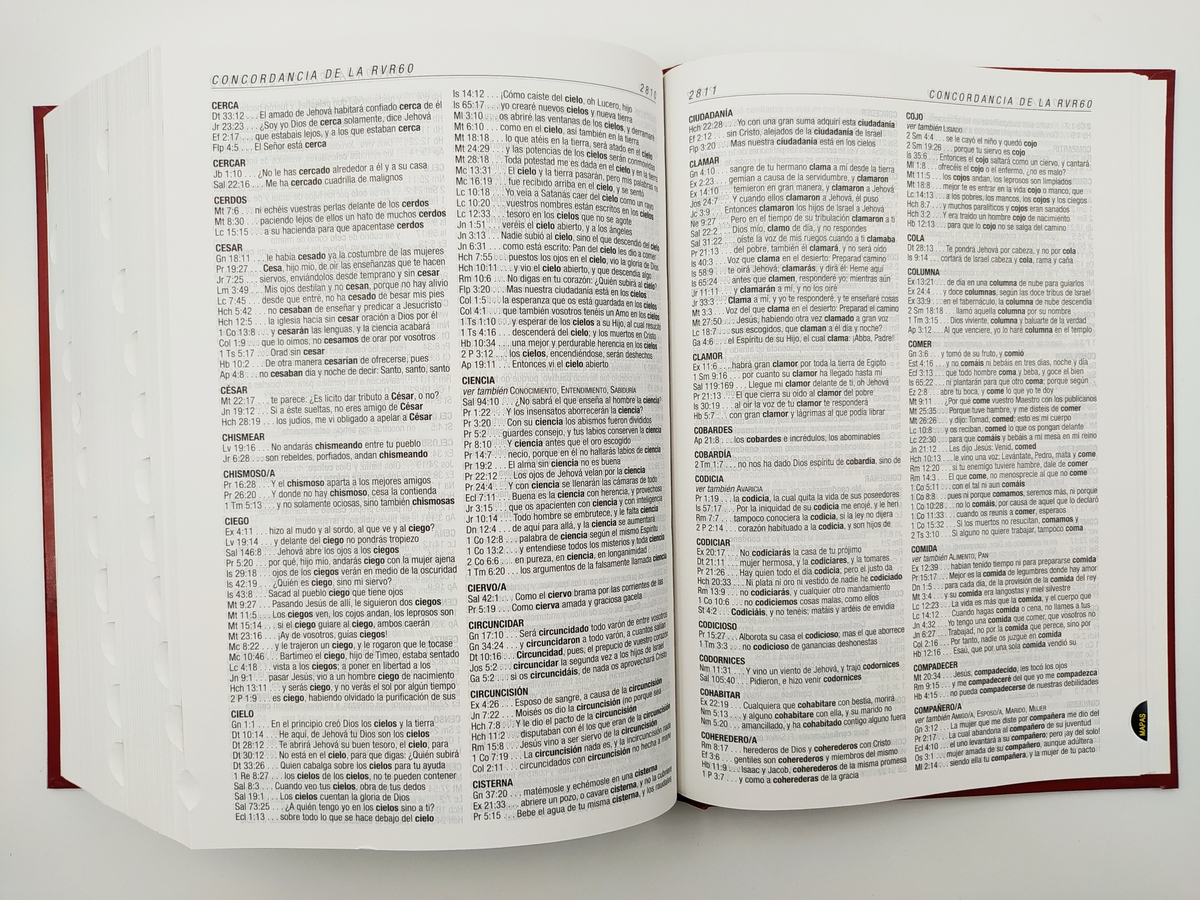 Biblia de estudio Diario vivir/Tapa dura con índice
