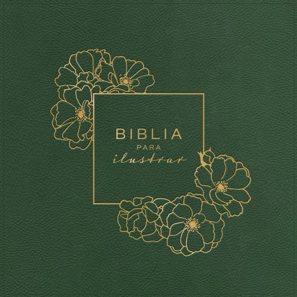 Biblia para ilustrar/ Reina Valera