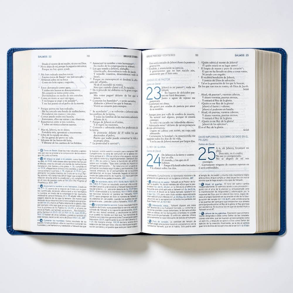 Biblia de Estudio Mensaje profético y escatólogico/LEATHERSOFT AZUL-SIN ÍNDICE